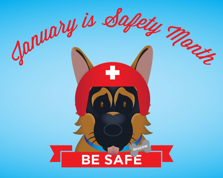 january-safety-month-01