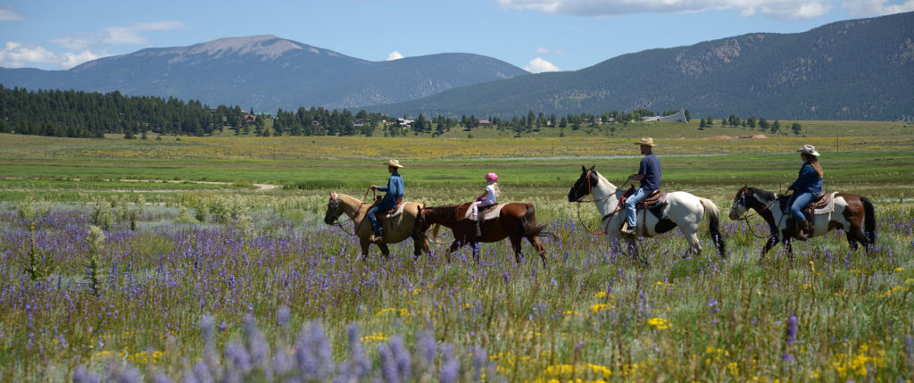 HorseBackRiding