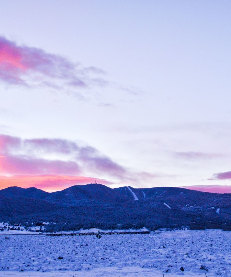 winter landscape