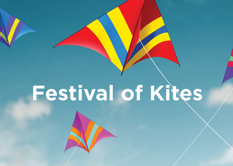 Festival of Kites (002)