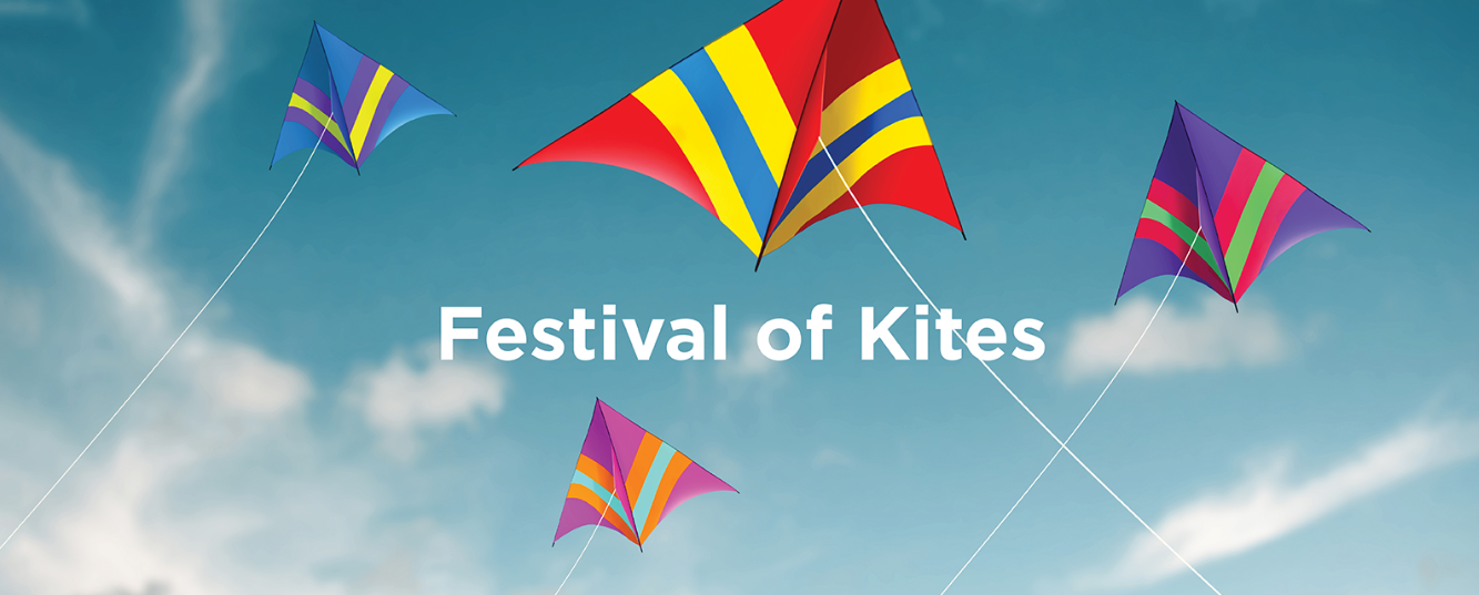 Festival of Kites (002)